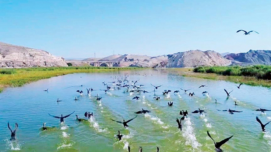 Nallıhan Belediyesi Asansör Proje Hizmeti